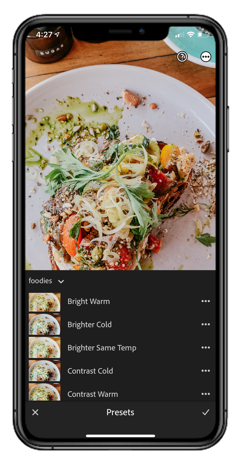 Food Presets Preview